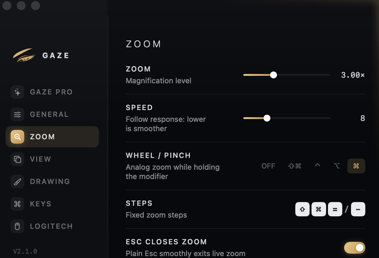 Gaze – Zoom settings: magnification level, follow speed, wheel/pinch modifier, fixed steps